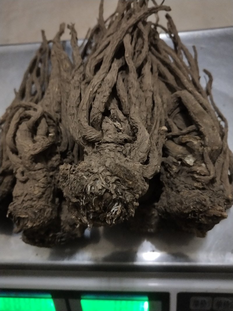 正宗岷县当归条(特大)500克/自家产品/价格便宜