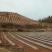 新增莓茶基地