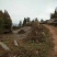 新增莓茶基地