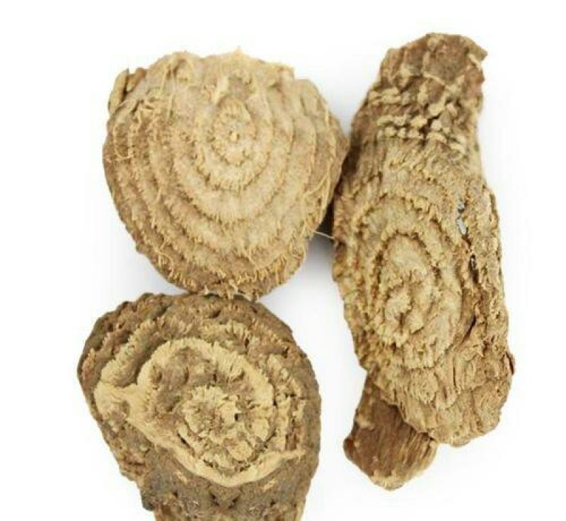 商陆，常年批发供应冷背，中药材商陆，水萝卜