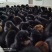 郑州小旭禽业公司:主要经营B380种蛋、良凤花种蛋、快大