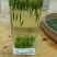 2019特级浓香味竹叶青促销