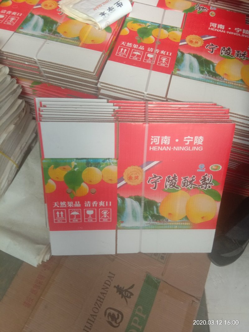 宁陵酥梨产地直发梨花桥村现在酥梨大量上市中