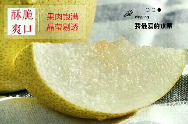 宁陵酥梨产地直发梨花桥村现在酥梨大量上市中