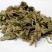 寻骨风，常年批发供应寻骨风中药材