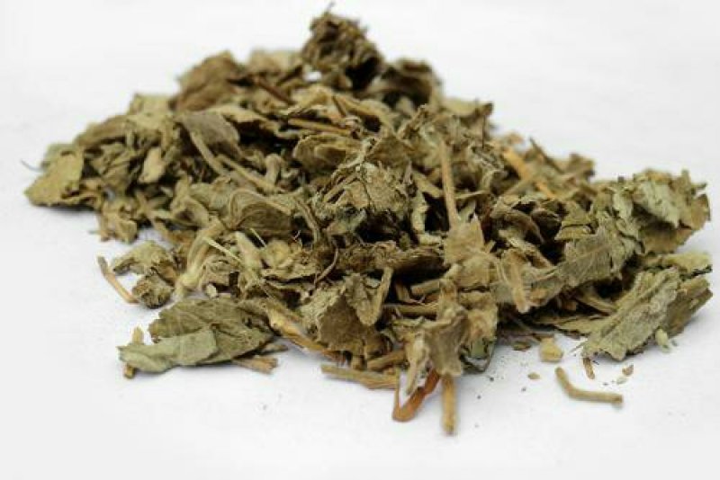 寻骨风，常年批发供应寻骨风中药材
