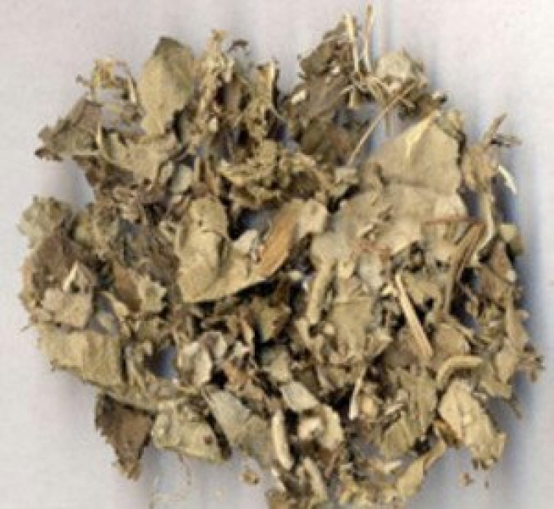 寻骨风，常年批发供应寻骨风中药材