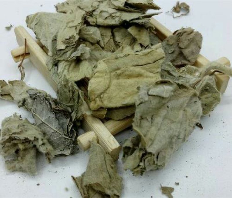 寻骨风，常年批发供应寻骨风中药材