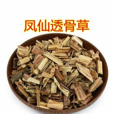 凤仙透骨草，常年批发供应中草药，凤仙透骨草