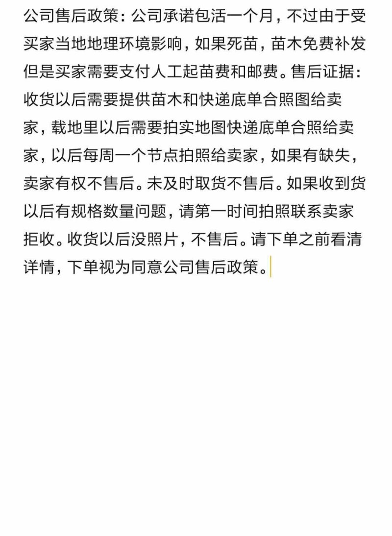 新品种李子苗/冰糖红，一年挂果，包技术，包邮