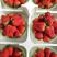 河北秦皇岛昌黎九九草莓大量上市我地草莓沙土地种植口感甜