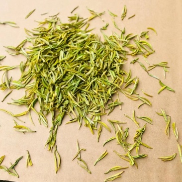 2020白茶新茶
