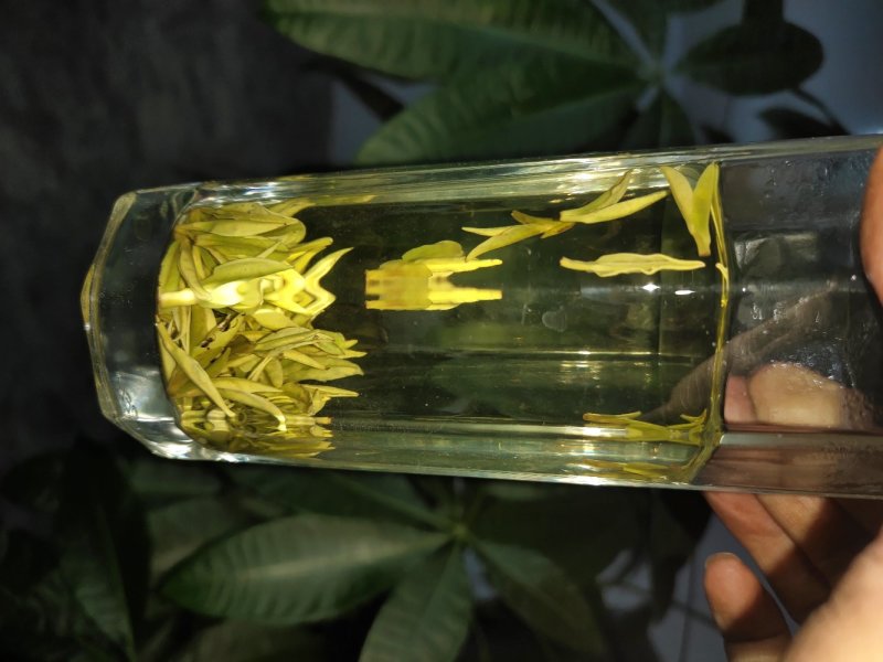2020白茶新茶