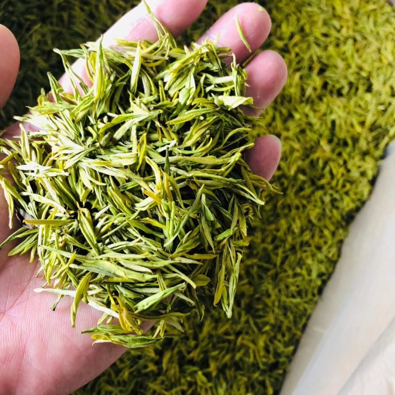 2020白茶新茶