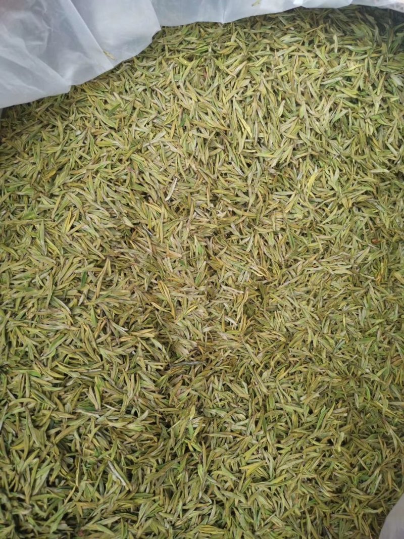 2020白茶新茶
