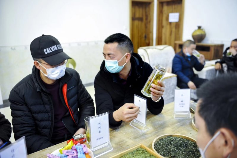 限量版黄芽高山极品，新茶抢购