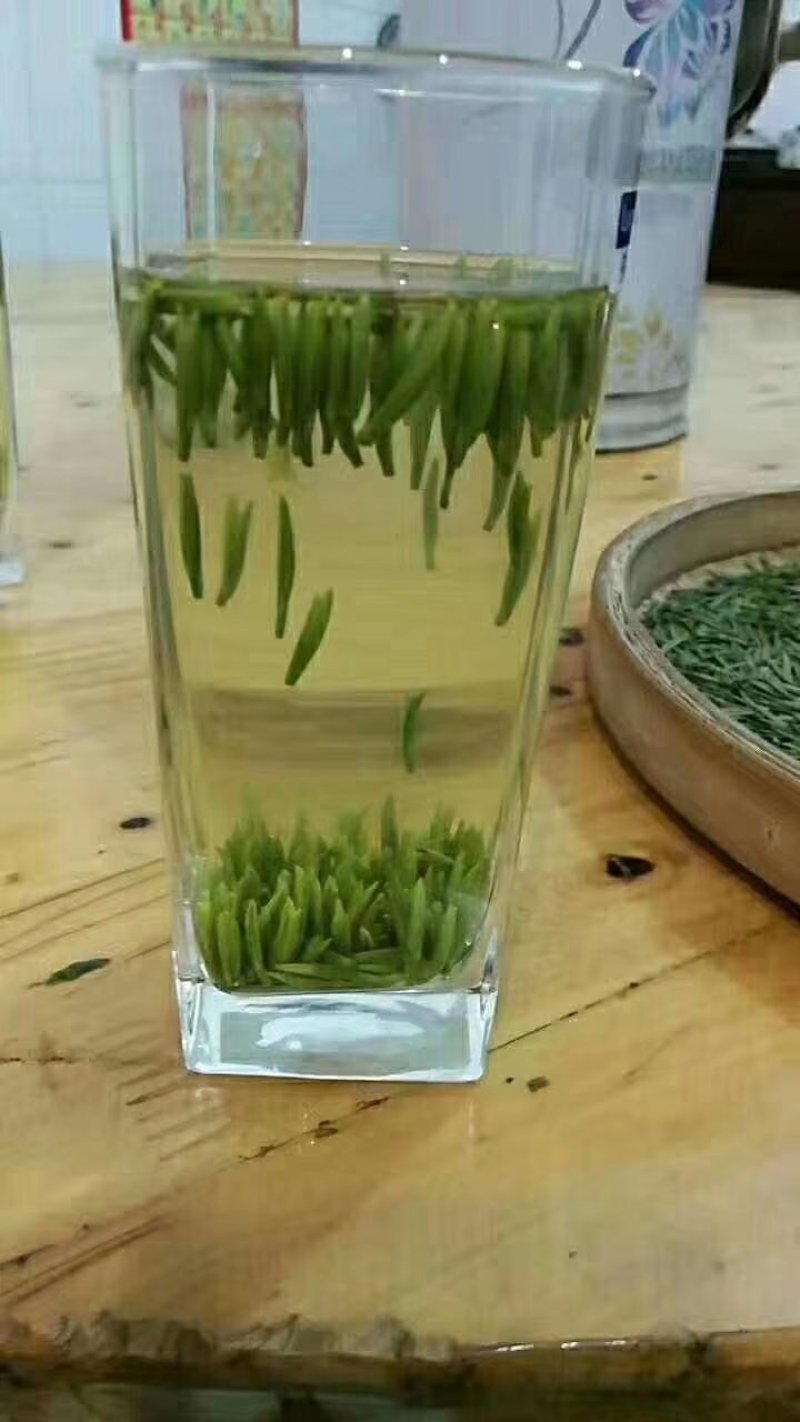 限量版黄芽高山极品，新茶抢购