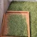 限量版黄芽高山极品，新茶抢购