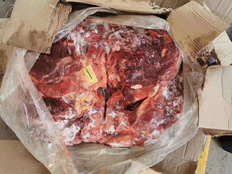 蒙古马肉四分体，带腱子后腿肉，颜色好，出成高