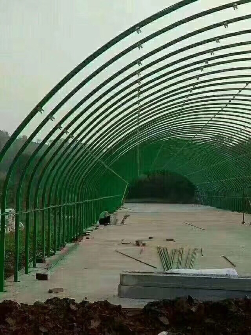 养殖棚养猪棚牛棚厂价直销生产加工