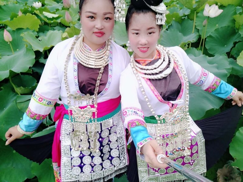 莲藕苗，观赏莲景区供应量大优惠