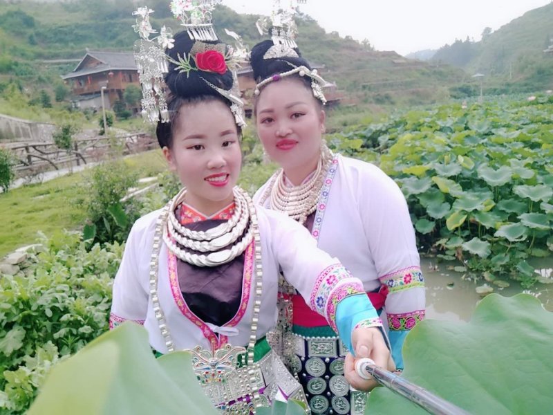 莲藕苗，观赏莲景区供应量大优惠