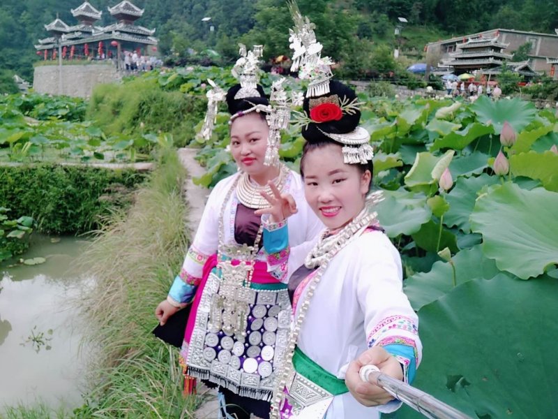 莲藕苗，观赏莲景区供应量大优惠