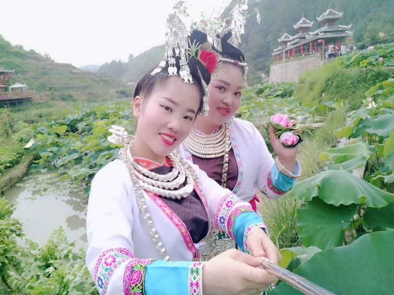 莲藕苗，观赏莲景区供应量大优惠