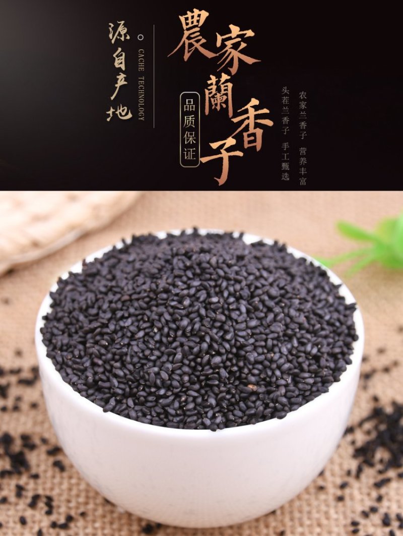 兰香子正宗台湾罗勒子可食用网红珍珠果奶茶子露生物科技包邮