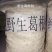 纯野生！纯野生！！！葛根粉