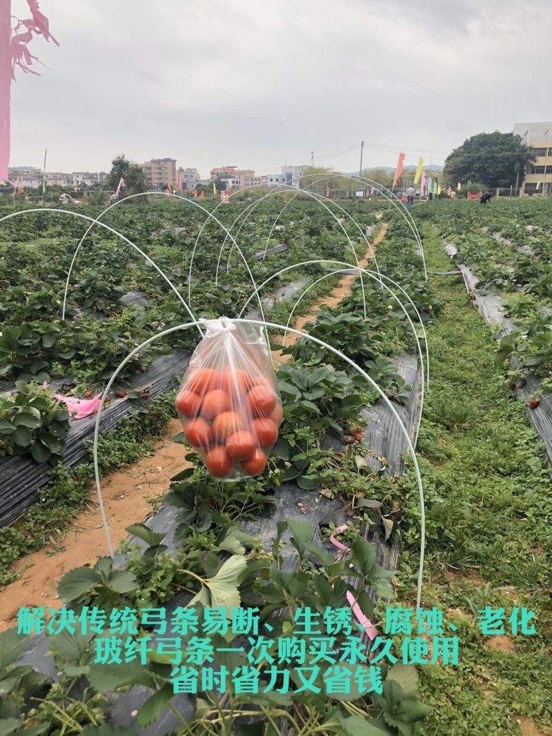 大棚温室骨架二棚地膜弓杆各种中小拱棚骨架玻璃纤维弹力钢棒