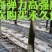 大棚温室骨架二棚地膜弓杆各种中小拱棚骨架玻璃纤维弹力钢棒