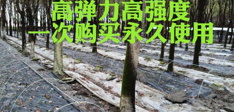 大棚温室骨架二棚地膜弓杆各种中小拱棚骨架玻璃纤维弹力钢棒