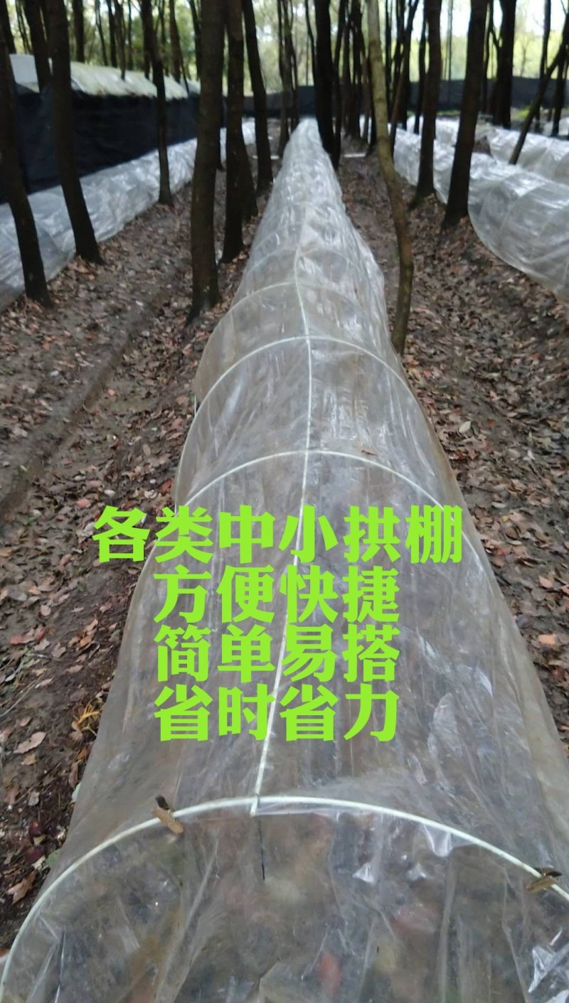 大棚温室骨架二棚地膜弓杆各种中小拱棚骨架玻璃纤维弹力钢棒