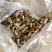 山东牛蒡之乡，优质牛蒡茶