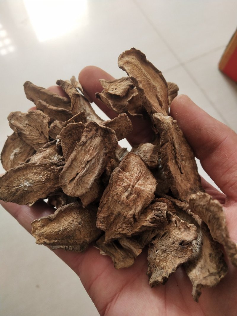 山东牛蒡之乡，优质牛蒡茶