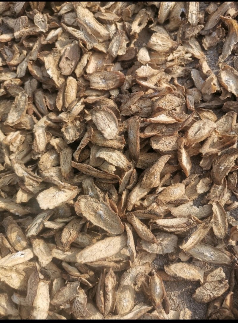 山东牛蒡之乡，优质牛蒡茶