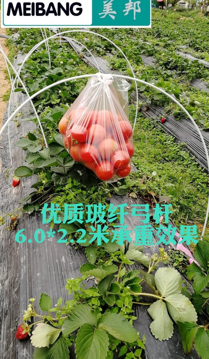 大棚温室骨架二棚地膜弓杆各种中小拱棚骨架玻璃纤维弹力钢棒