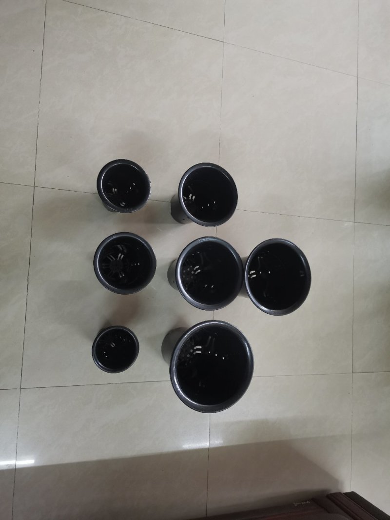 兰花盆，厂家直销质量保证！破损包赔，气泡膜包装快递包邮