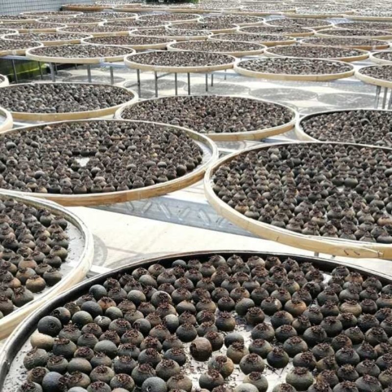 正宗生晒新会小青柑中青二红柑茶