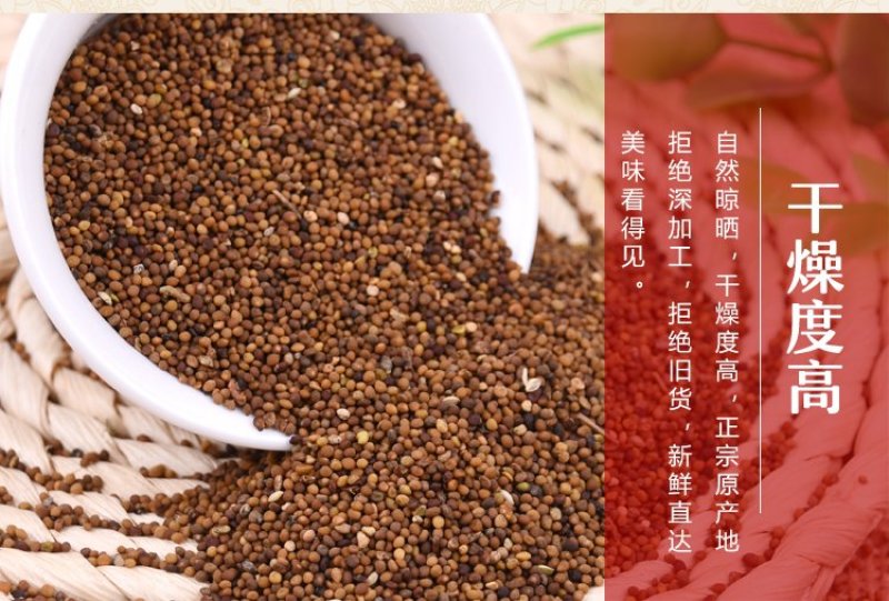 菟丝子中药材菟丝籽菟丝子粉内蒙古野生菟丝子茶子露生物包邮