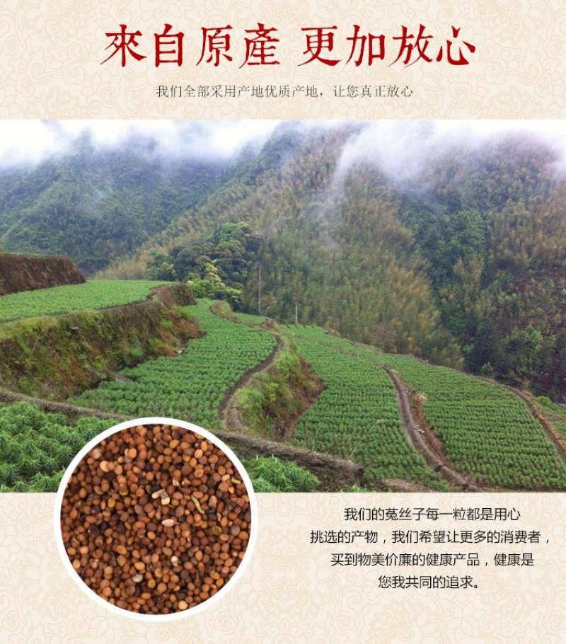 菟丝子中药材菟丝籽菟丝子粉内蒙古野生菟丝子茶子露生物包邮