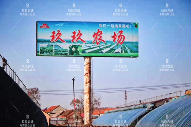甄选丹东久久草莓🍓🍓