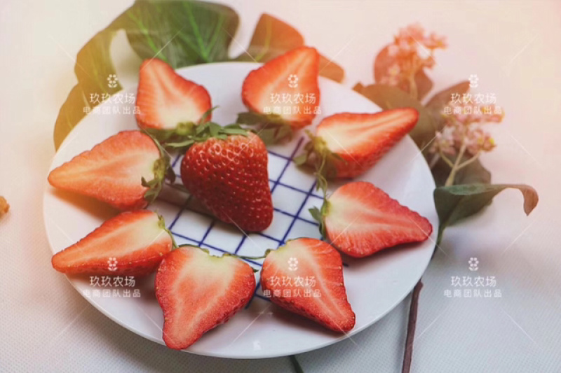 甄选丹东久久草莓🍓🍓