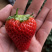 甄选丹东久久草莓🍓🍓