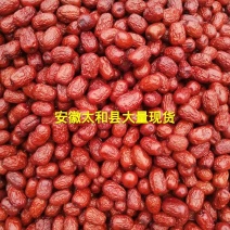 安徽太和县大量现货