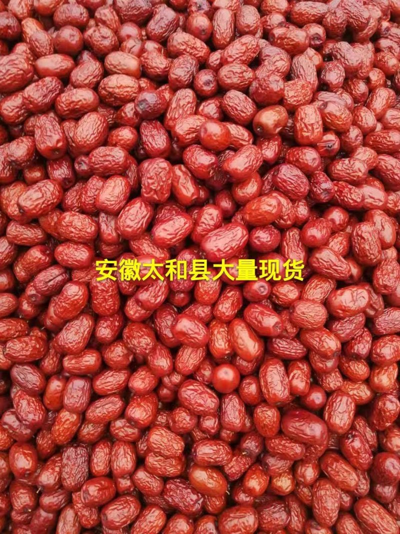 安徽太和县大量现货