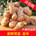 生姜老姜月子姜农家老黄姜精品山东大姜
