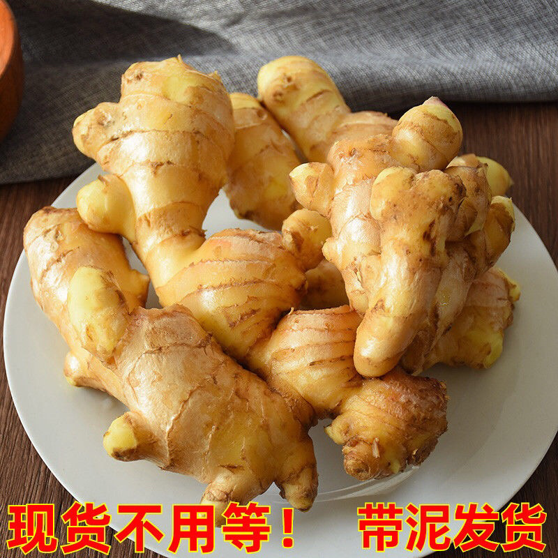 生姜老姜月子姜农家老黄姜精品山东大姜
