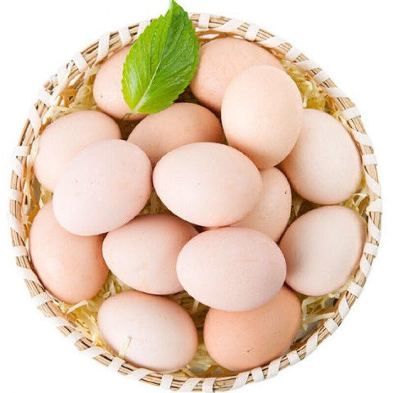 农家散养土鸡蛋当日现捡现发草鸡蛋笨鸡蛋一件代发包邮
